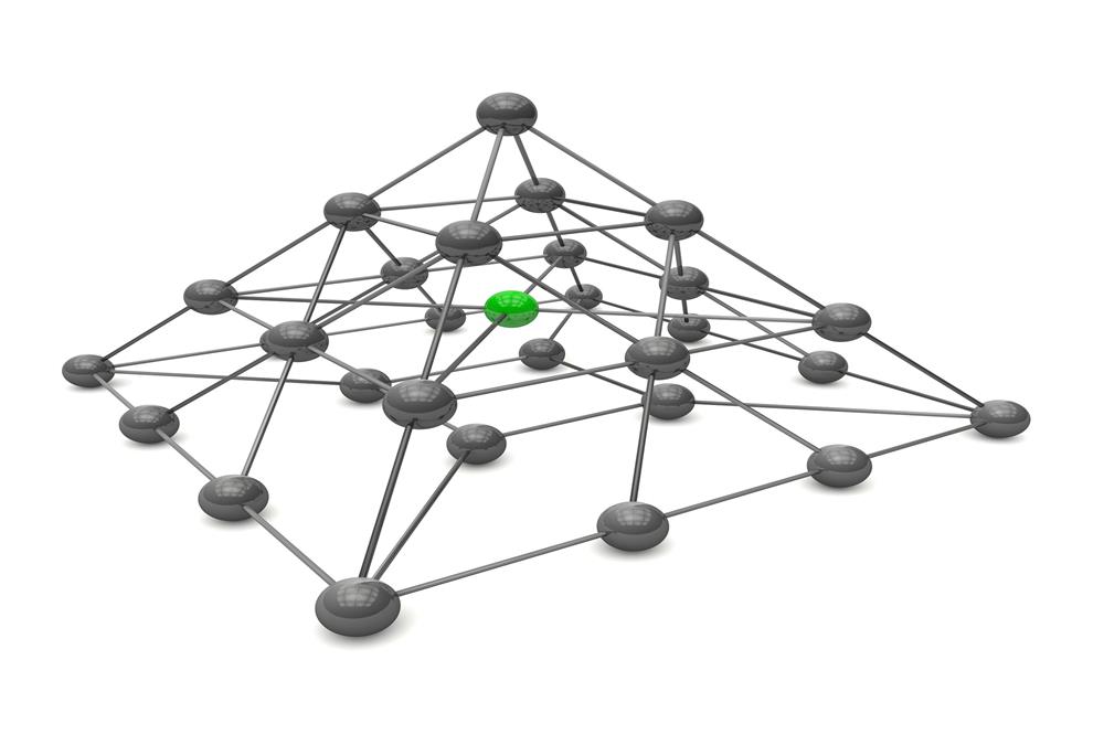  Network Organizational Structures